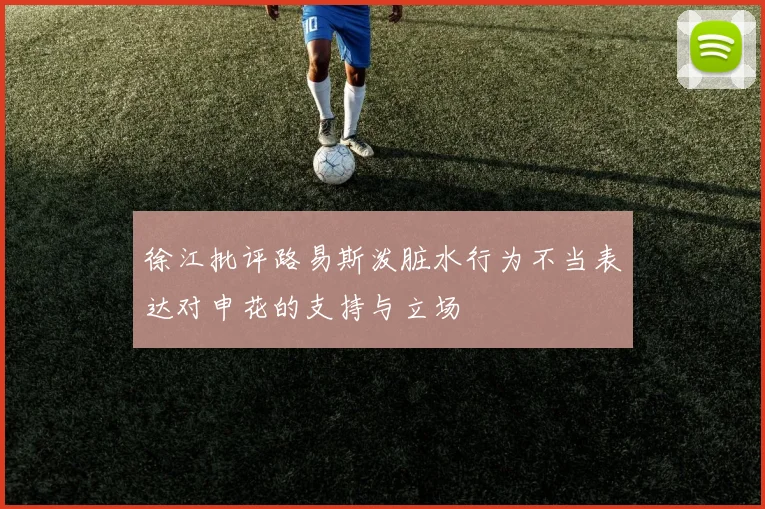 徐江批评路易斯泼脏水行为不当表达对申花的支持与立场