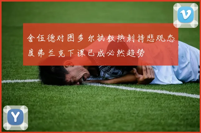 舍伍德对图多尔执教热刺持悲观态度弗兰克下课已成必然趋势