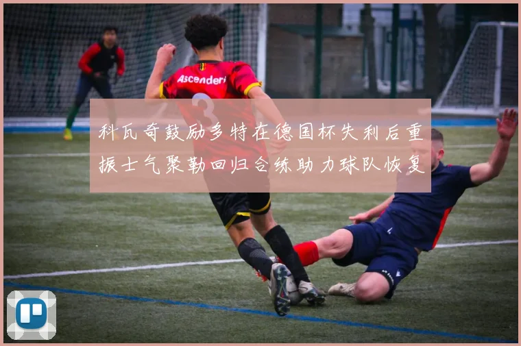 科瓦奇鼓励多特在德国杯失利后重振士气聚勒回归合练助力球队恢复状态