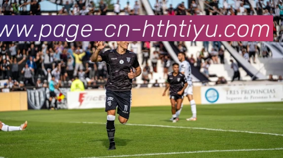 华体会体育平台生态图